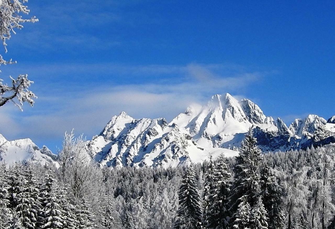 Strbske Pleso Rezidencia Oliver - Apartman 16A Экстерьер фото